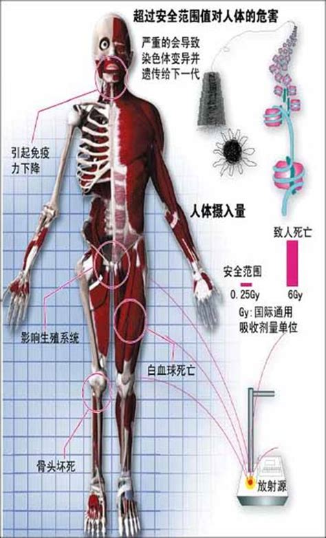 被輻射過的人|问与答：核辐射对人体健康有什么危害